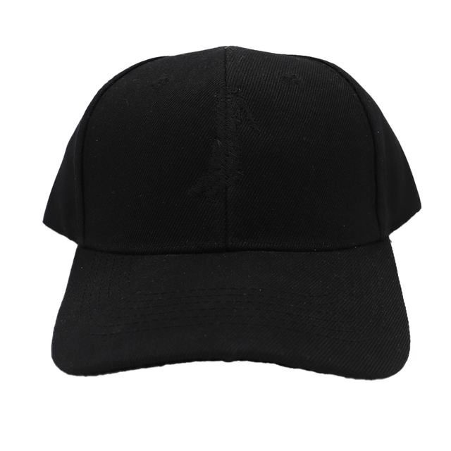 R66T Academy Cap Black Logo