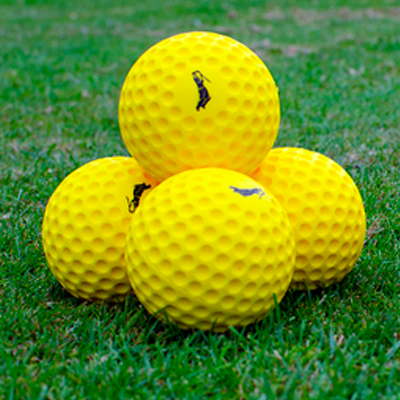 R66T Academy Ball Feeder Balls (x12)