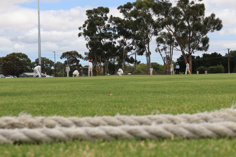 Cricketers on a grass field with trees in the background