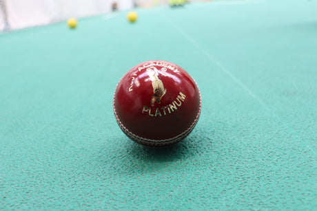 Red R66T Academy cricket ball with 'Platinum' branding on a green surface