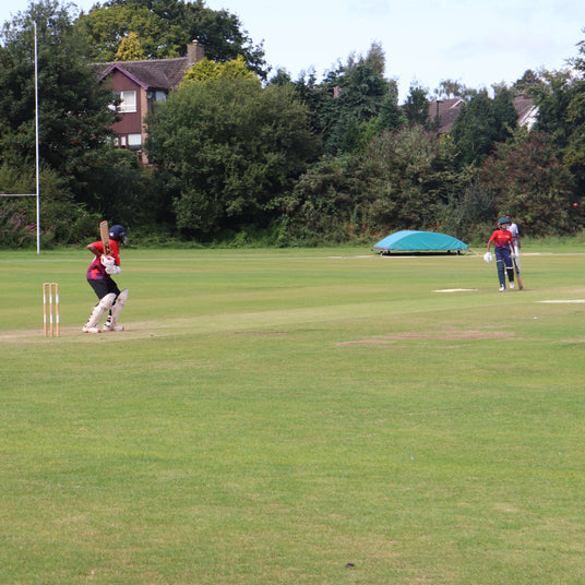 Cricketers on a grass field with trees and buildings in the background