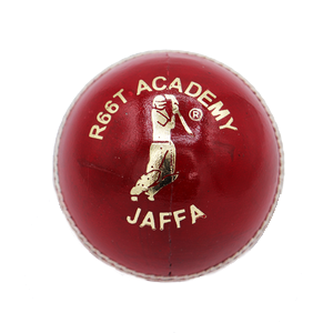 R66T Academy Cricket Ball Briefcase - Jaffa