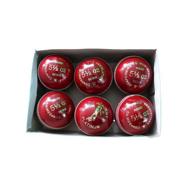 R66T Academy Cricket Ball - Platinum