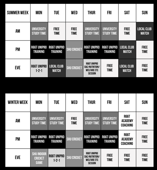 Weekly schedule grid for summer and winter terms with activities listed.