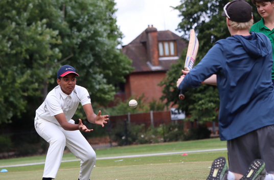 Two people playing cricket on a grassy field with trees and houses in the background.