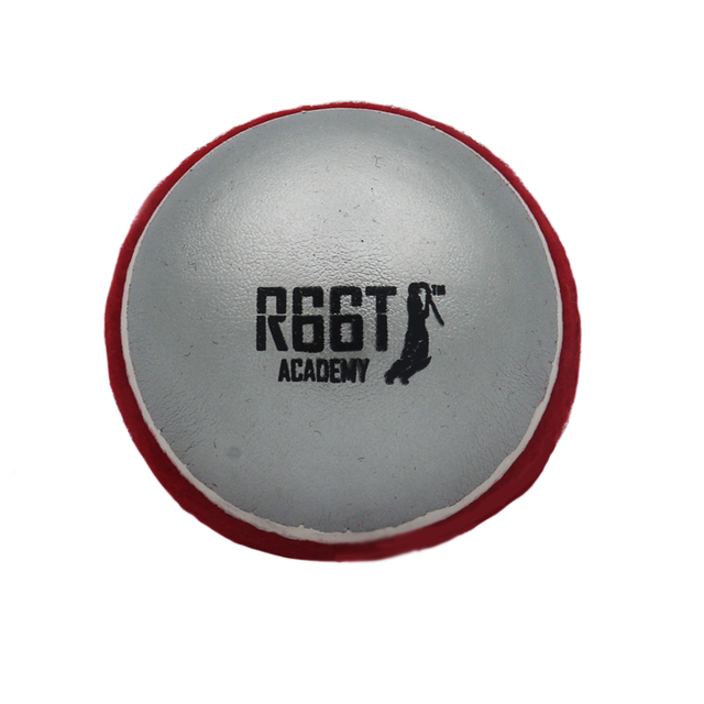 R66T Academy Swing Cricket Ball