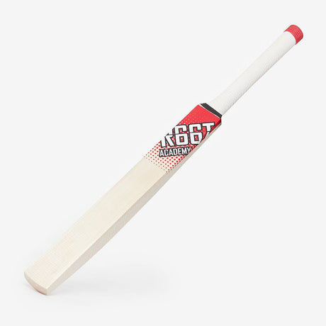 R66T Academy Cricket Batting Bundle