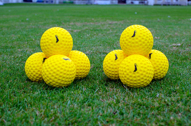 R66T Academy Ball Feeder Balls (x12)