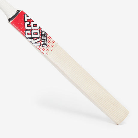 R66T Academy Technique Training Cricket Bat