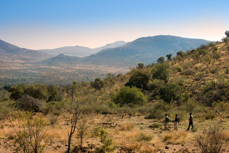 Three people walking through a scenic landscape with mountains and trees.