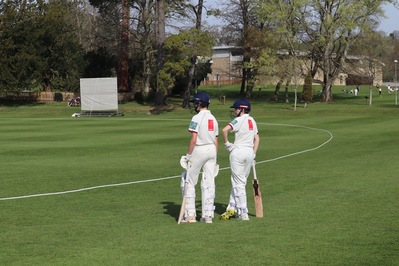 Two cricket players on a grass field with trees and buildings in the background