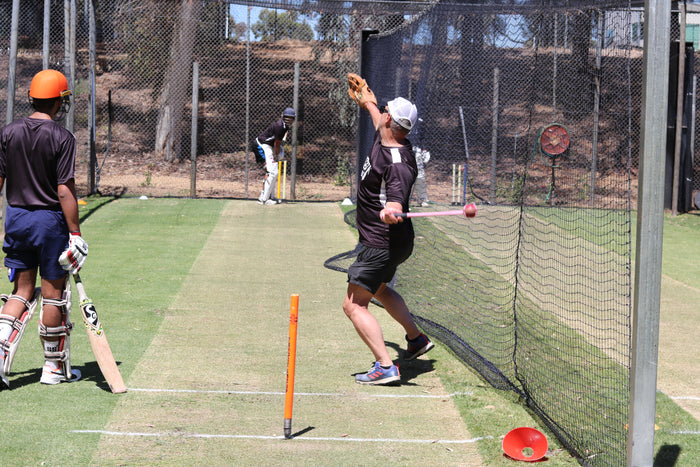 People practicing cricket in a netting area with trees and a fence in the background.