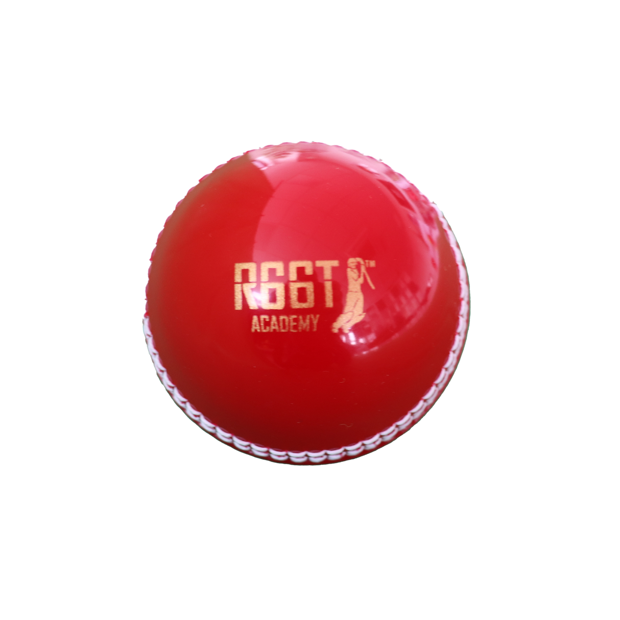 R66T Academy Cricket Batting Bundle