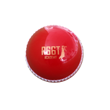 R66T Academy Cricket Batting Bundle
