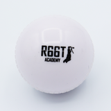 R66T Academy Cricket Variety Ball Bag