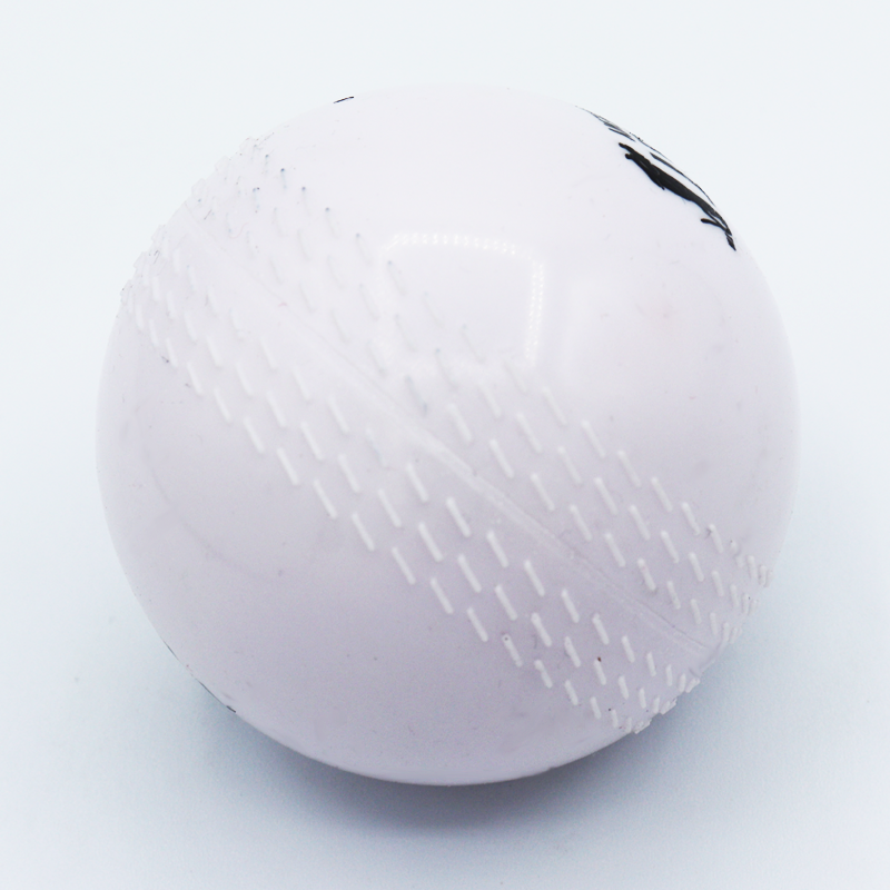 R66T Academy Cricket WindBall