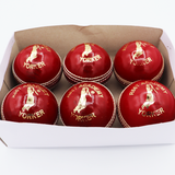 R66T Academy Cricket Batting Bundle